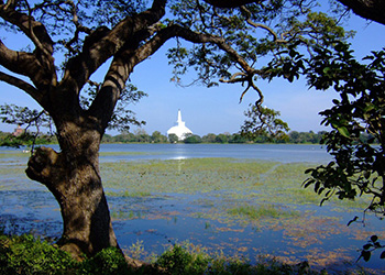 Anuradhapura